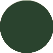 Dark Green Evening Dresses